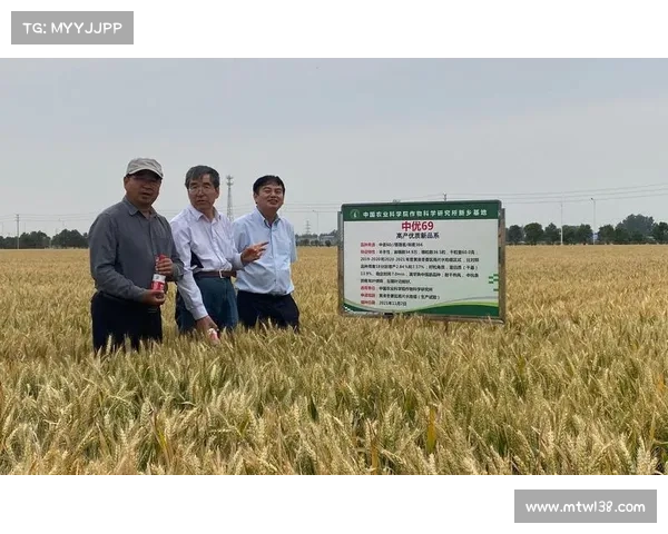 如何从多维度评估小麦国家队的出色表现与未来发展潜力